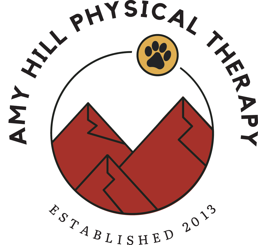 Amy Hill Physical Therapy